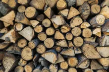 Ceny drewna opałowego 2026. Ile kosztuje metr i kiedy kupować najtaniej?