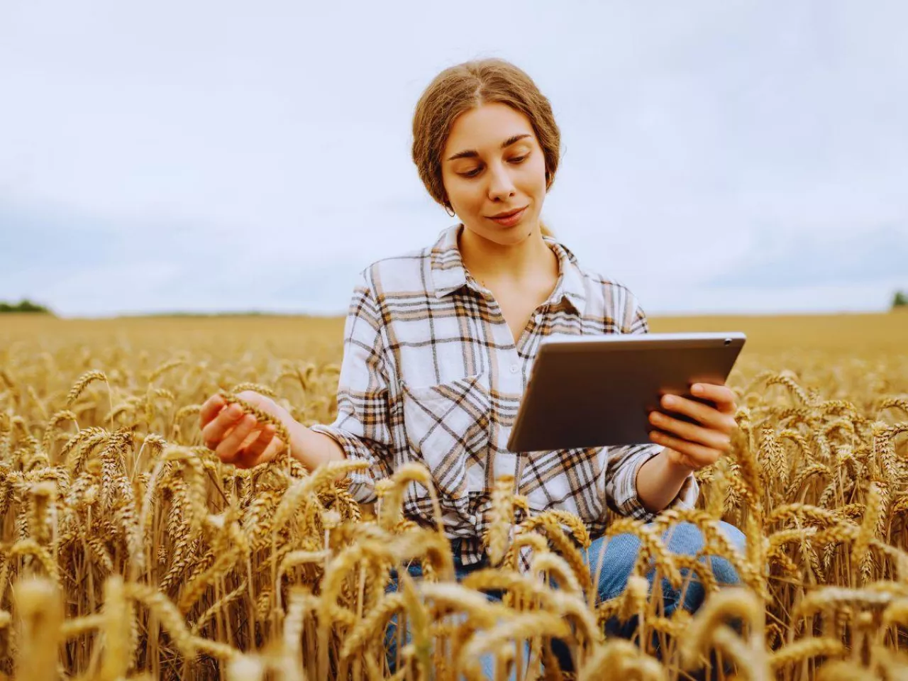 Ta aplikacja ogarnia całe gospodarstwo. Rolnicy mają ją za darmo