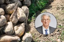 Wolny handel w UE kosztem plantatorów buraków cukrowych