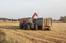 Żniwa zbóż