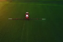 Oprysk na chwasty w pszenicy ozimej wiosną — jaki herbicyd wybrać?