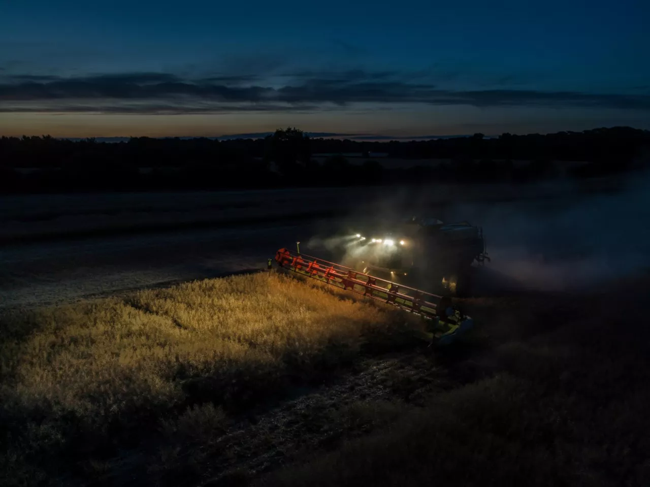 Kombajn zbożowy zbierający zboże w nocy