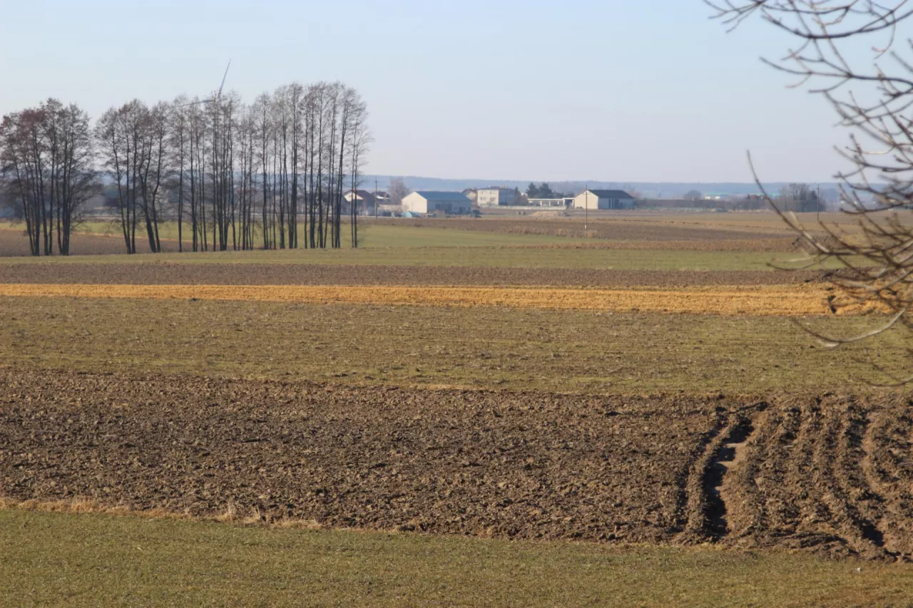 Trzy ośrodki produkcji rolniczej (OPR), tj. Dobrzyń, Pawłówko i Płaszczyca to w sumie ponad 1400 ha