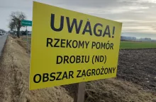 tablica informująca o wjeździe na obszar zagrożony rzekomym pomorem drobiu