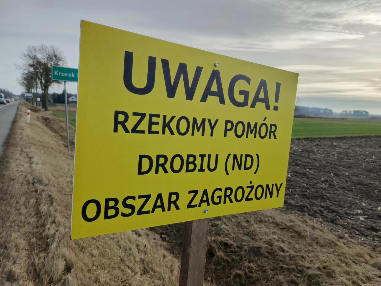 tablica informująca o wjeździe na obszar zagrożony rzekomym pomorem drobiu