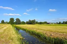 Kiedy potrzebna jest zgoda KOWR na zakup ziemi?