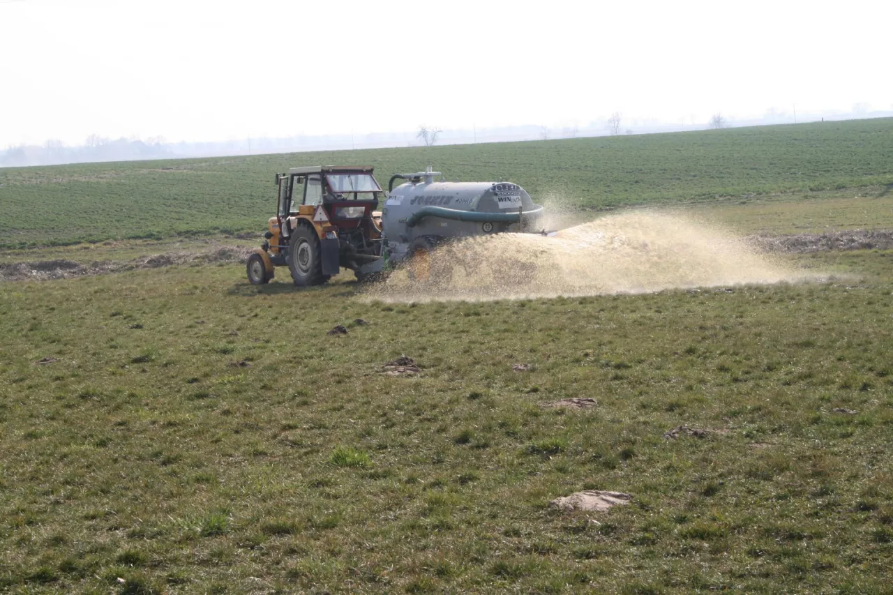 pole, gnojowica, zboża