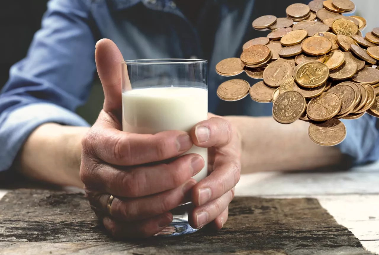 Promocje z mlekiem i masłem po 0,99 zł są tylko widocznym elementem głębszego problemu