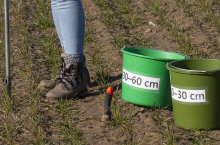 program azotanowy, badanie gleby, pobieranie prób glebowych