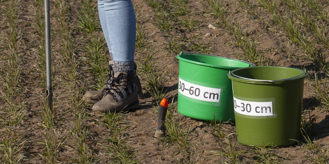 program azotanowy, badanie gleby, pobieranie prób glebowych