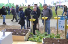 Rolnicy oglądający odmiany zbóż na dniach pola
