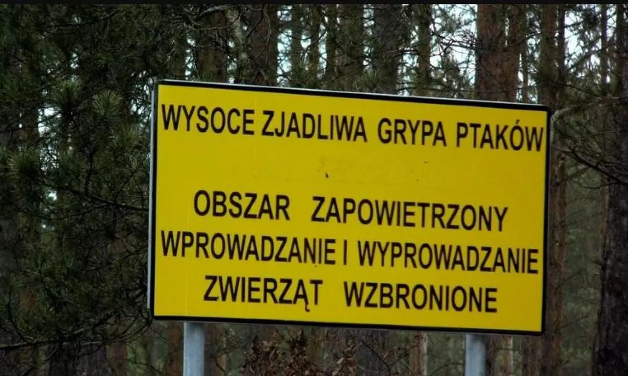 Tablica koło drogi informująca o obszarze zapowietrzonym w związku w występowaniem wysoce zjadliwej grypy ptaków