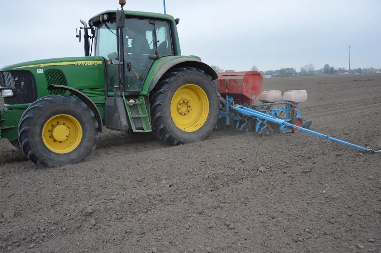 Siew kukurydzy; kukurydza 2026, siewnik