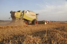 Kombajn Claas na polu podczas żniw