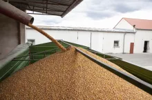 Ziarno spływające z silosu lejowego do przyczepy rolniczej dla dalszego transportu