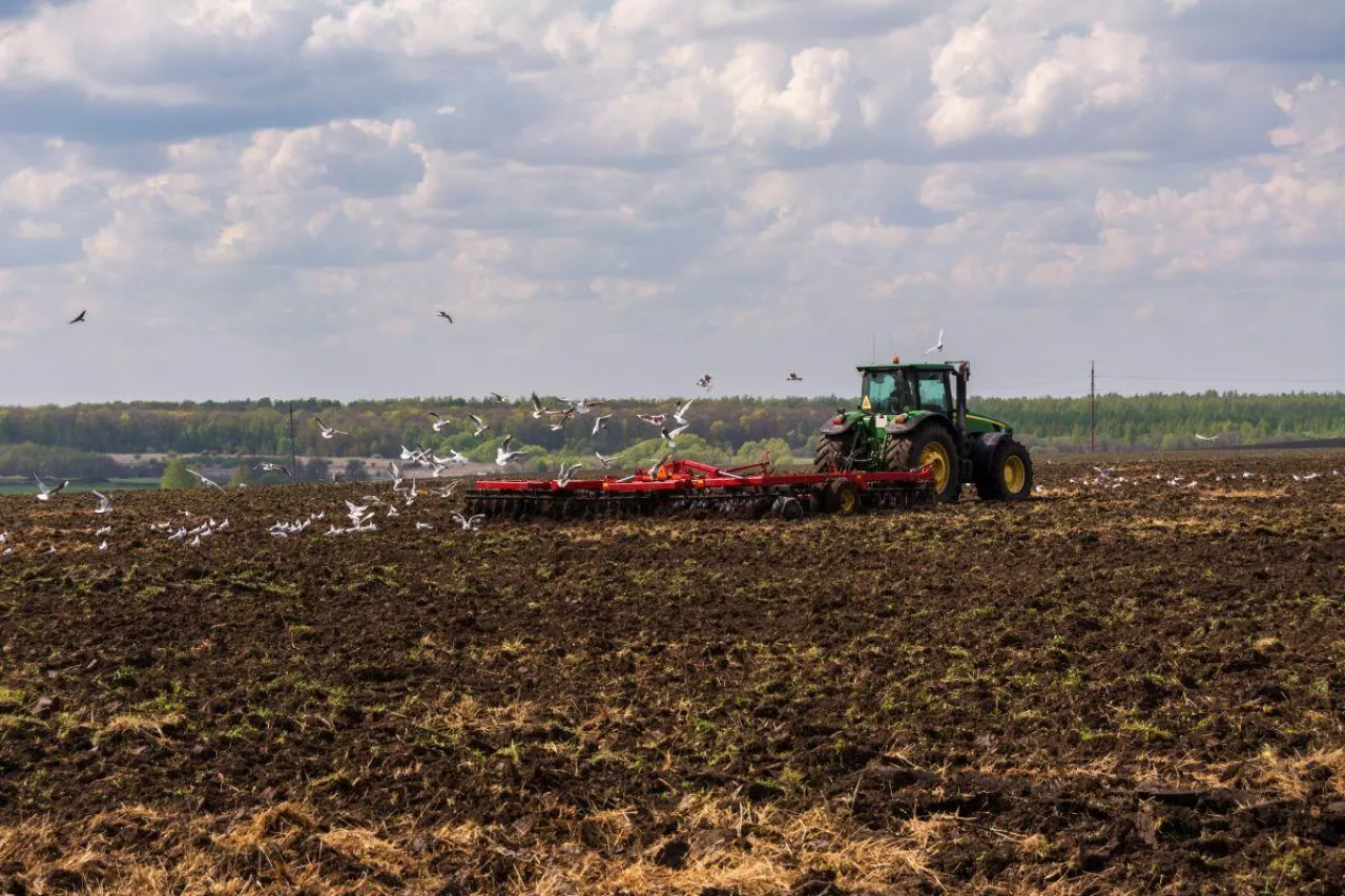 Zielony ciągnik marki John Deere, agregatowany z czerwoną broną talerzową, wykonuje prace uprawowe na polu. Scena ukazuje klasyczny etap przygotowania stanowiska pod zasiewy w warunkach optymalnej wilgotności gleby.