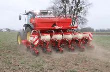 kukurydza siew kuku, siewnik, sianie kukurydzy