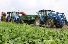 pracownicy z zagranicy pracownicy sezonowi cudzoziemcy pracownicy z Ukrainy