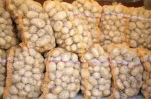 Ziemniaki w workach raszlowych