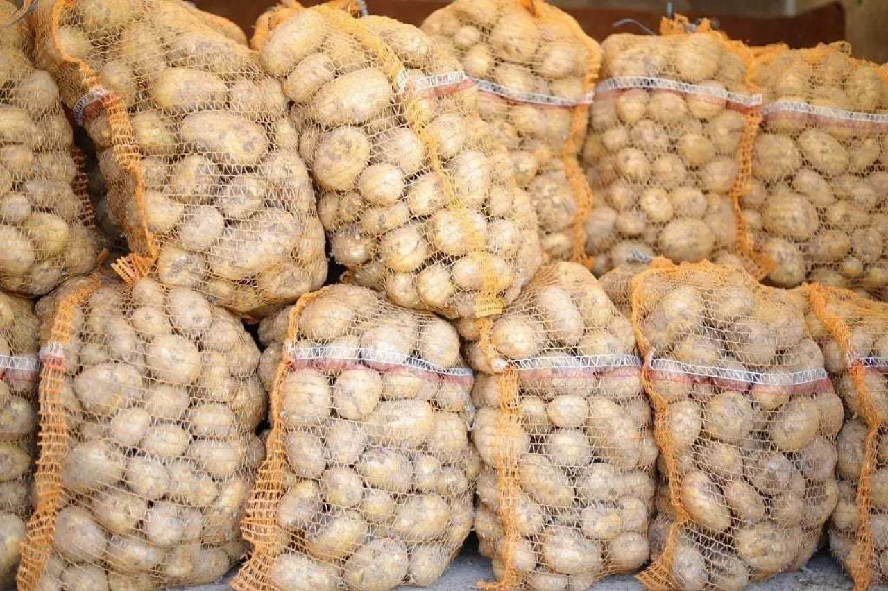 Ziemniaki w workach raszlowych