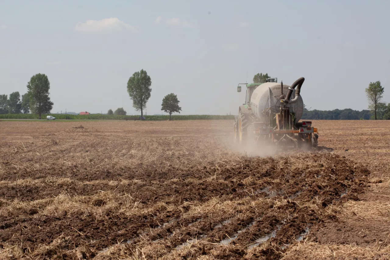 gnojowica wylewanie na pole aplikator