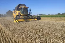 Zbiór kombajnem