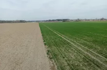 Samorząd rolniczy wskazuje, że ograniczanie przetargów ofertowych może prowadzić do zmniejszenia przejrzystości procedur