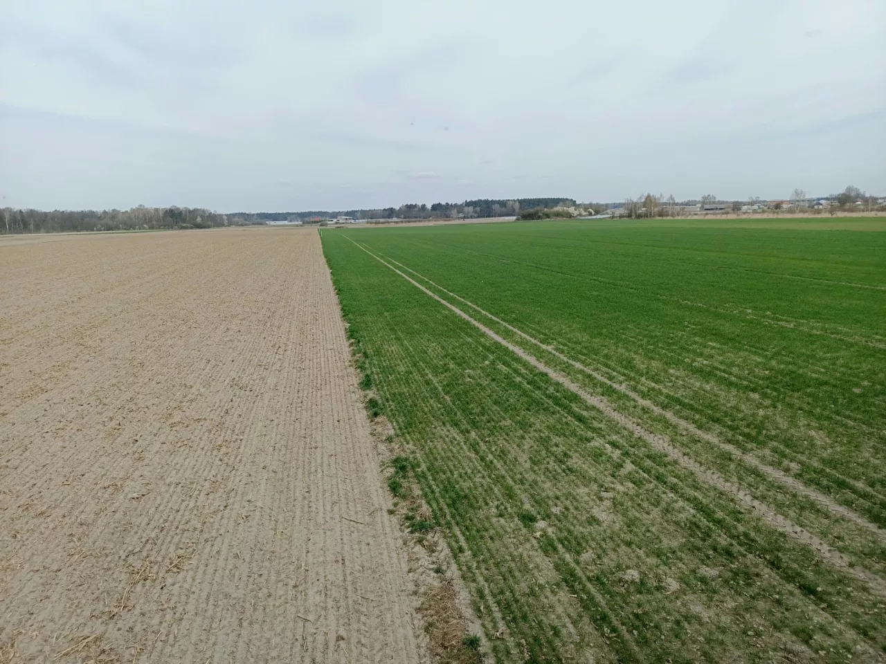 Samorząd rolniczy wskazuje, że ograniczanie przetargów ofertowych może prowadzić do zmniejszenia przejrzystości procedur