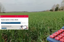 KSeF to problem, ponieważ w wielu gospodarstwach dostęp do internetu wciąż jest ograniczony, brakuje doświadczenia w obsłudze systemów cyfrowych