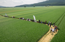 Uczestnicy wydarzenia polowego ”Zielone Pola” oglądają poletka doświadczalne. Grupa rolników porusza się wyznaczoną ścieżką między pasami upraw.