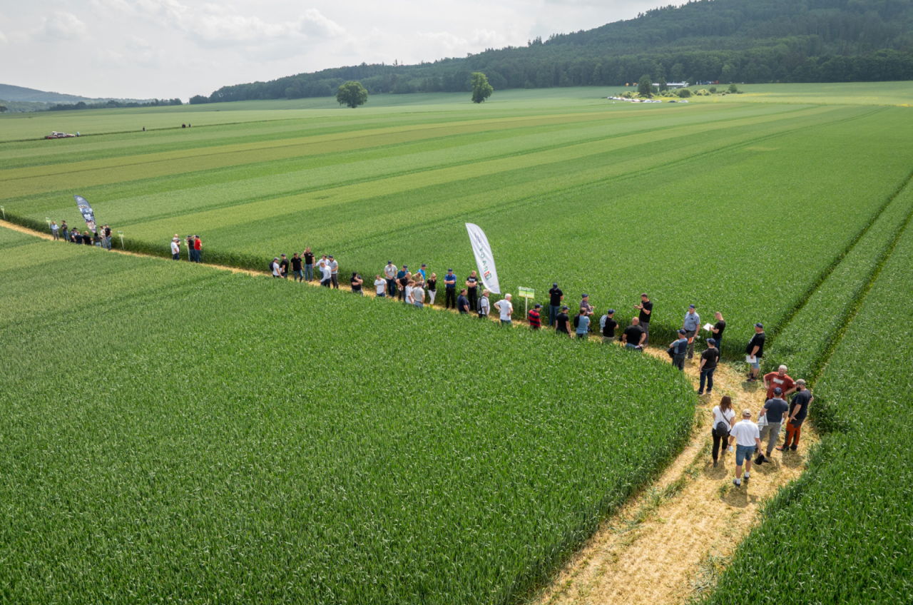Uczestnicy wydarzenia polowego ”Zielone Pola” oglądają poletka doświadczalne. Grupa rolników porusza się wyznaczoną ścieżką między pasami upraw.