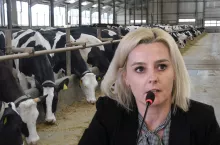 Dorota Grabarczyk, Polska Federacja Hodowców Bydła i Producentów Mleka: – Zmiany w sektorze są nieuniknione. Odejście od modelu opartego na niskich kosztach wymusza transformację całej branży