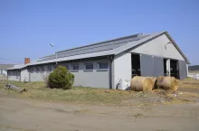 Budenek inwentarski na terenie gospodarstwa rolnego. Obok budynku leży sprzęt rolniczy, bele siana.