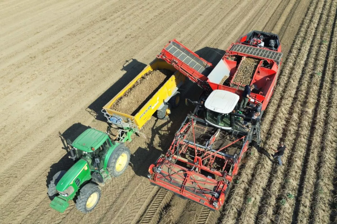 Potrzebne są działania na poziomie państwa – od uproszczenia procedur zatrudniania cudzoziemców po stworzenie długofalowej strategii dla rynku pracy w rolnictwie