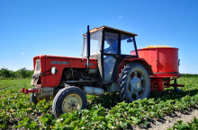 C-360 w pracy na plantacji truskawek