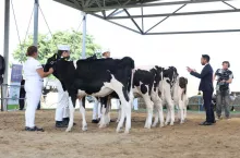 uczestnicy Ogólnopolskiej Szkoły Młodych Hodowców, edycja 2024