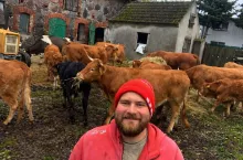 Stado limousine Bartosza Gregora