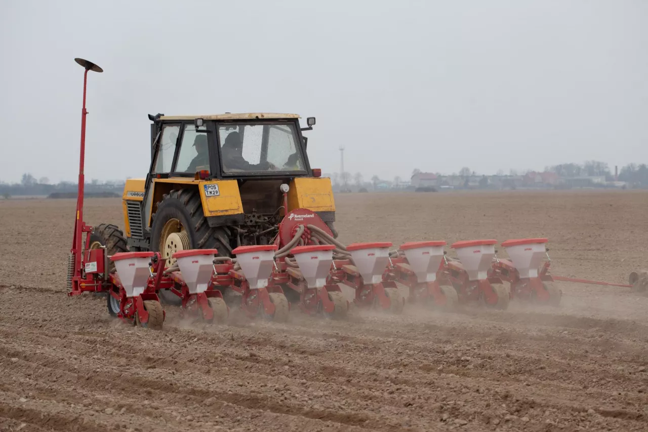 ciągnik z zaczepionym agregatem uprawowo-siewnym pracuje na polu podczas siewu kukurydzy