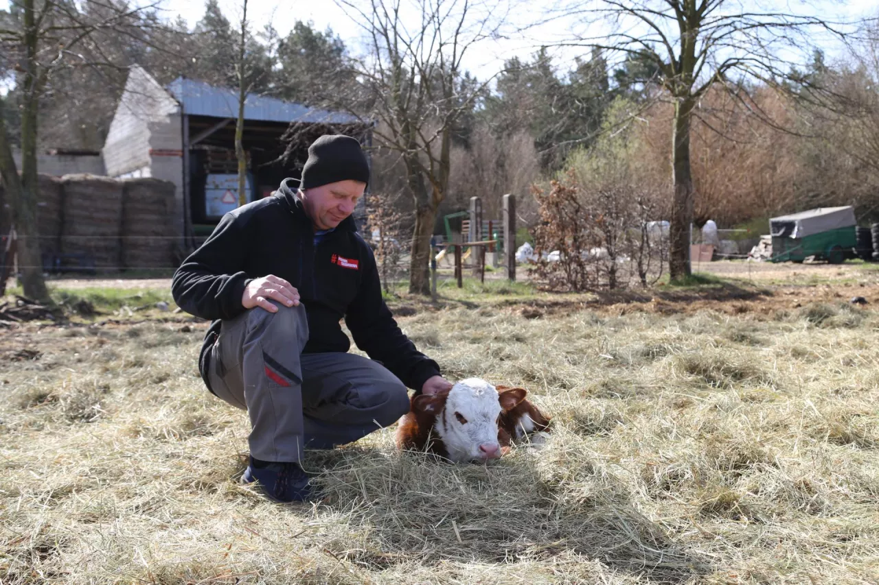 Mirosław Kubacki, branno, Zamet, pow. koniński