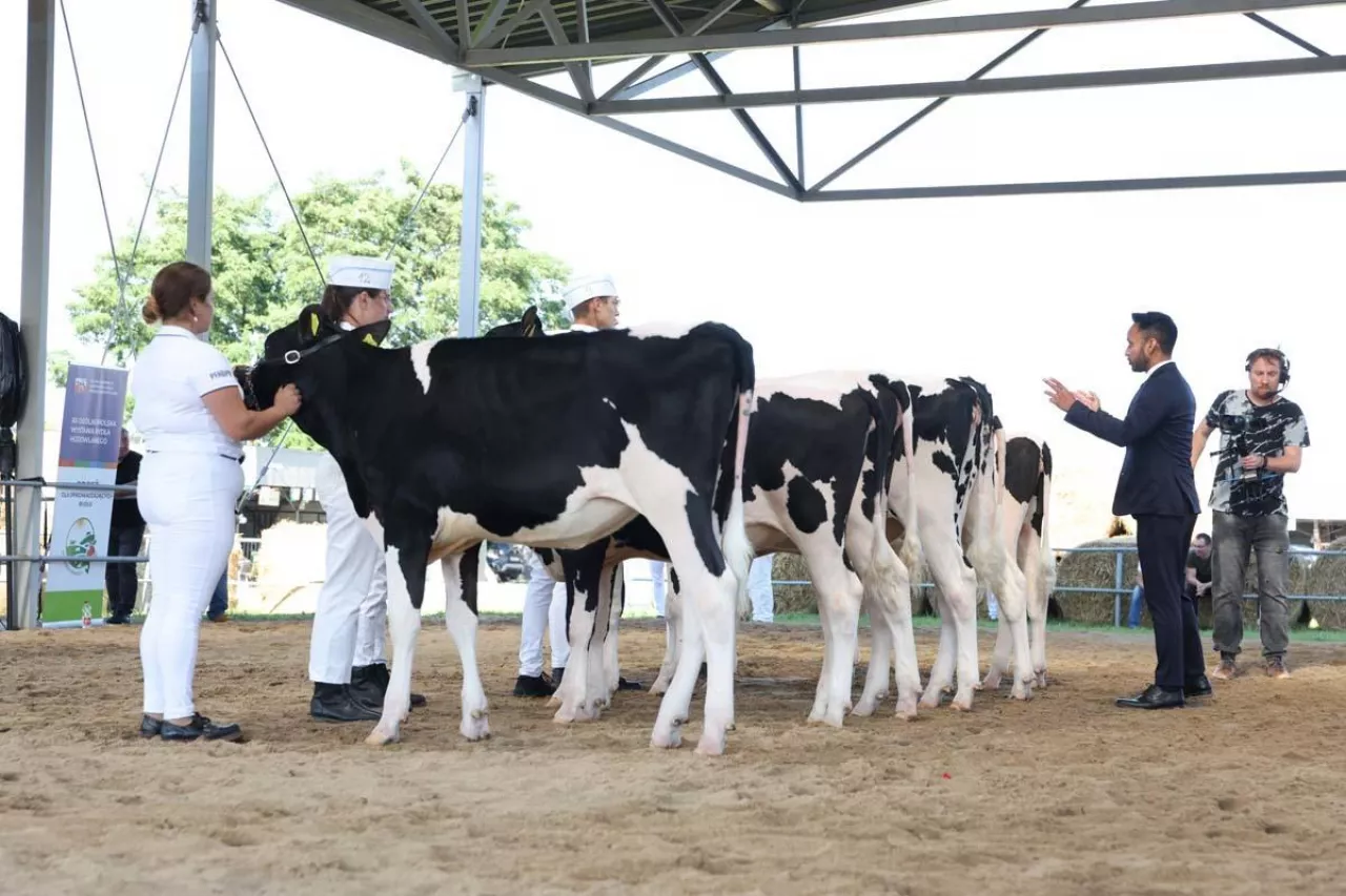 uczestnicy Ogólnopolskiej Szkoły Młodych Hodowców, edycja 2024