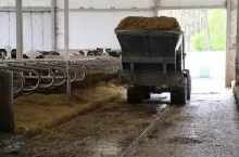 Separat, gnojowica, separator gnojowicy, zarządzanie gnojowicą, kudelczyn, mazowieckie, Stelęgowski, Tadeusz, Gospodarstwo Stelęgowscy, legowiska, zbiornik na gnojowicę