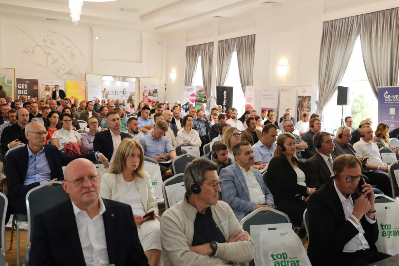 Forum Świnie 2025