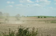 Susza 2026: gdzie jest najgorzej? Plony już wysychają, prognozy niepokoją [RAPORT IUNG]