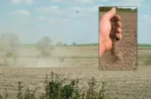 ”Sytuacja na polach jest krytyczna”. Rolnicy żądają pilnych komisji suszowych