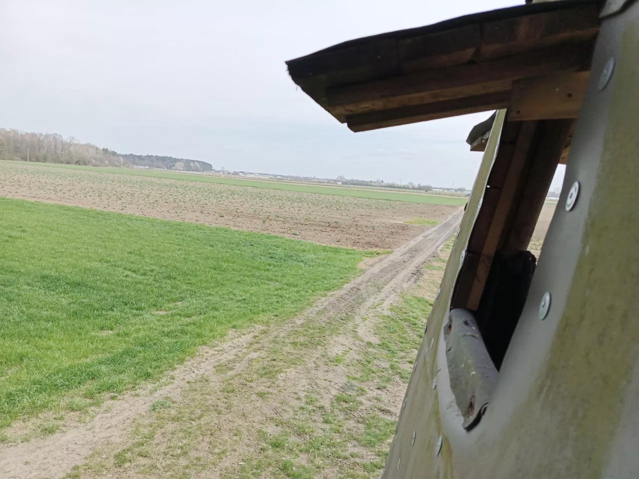 Komisja Klimatu i Środowiska postanowiła zaproponować Senatowi wprowadzenie 3 poprawek do ustawy o zmianie ustawy o ochronie przyrody oraz niektórych innych ustaw