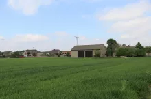 Zboże na polu