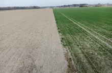 Rolnik przekazała część ziemi synowi. Teraz zapukała do niego skarbówka