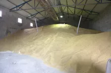 zboże na pryzmie