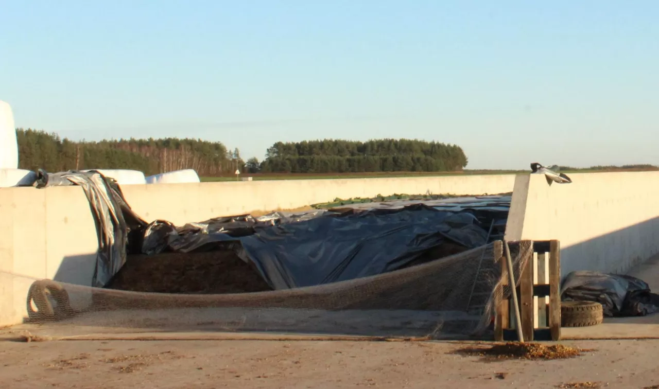 silos na kiszonkę budowa silosu zasady