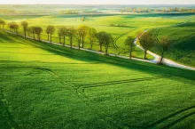 Niewątpliwie Wielkopolska jest jednym z najważniejszych regionów rolniczych w Polsce.